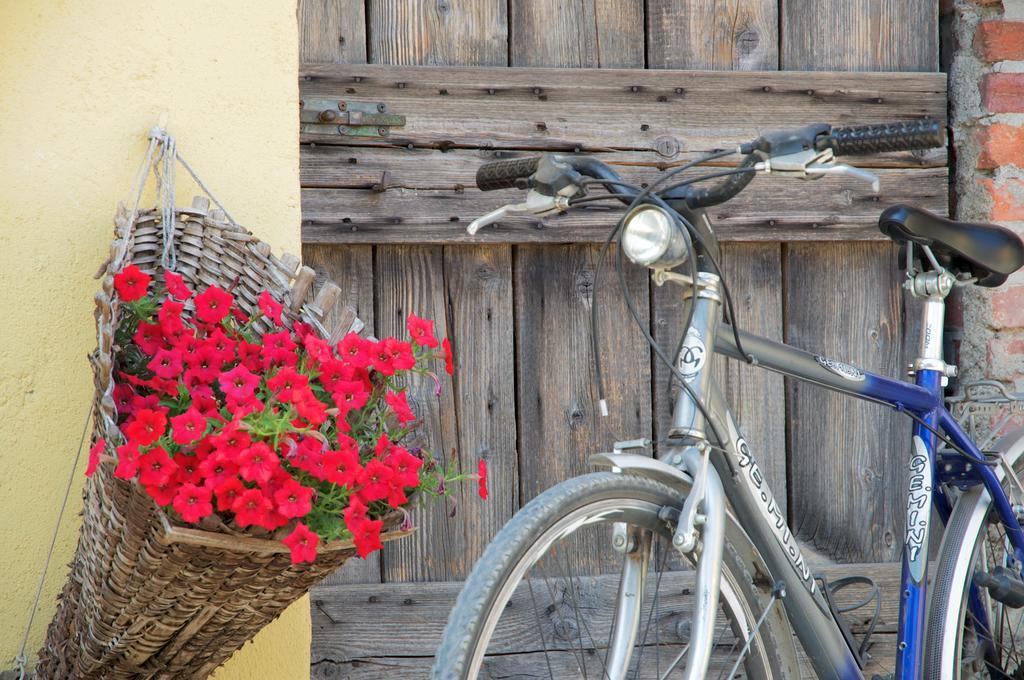 Cascina Delle Mele Bed and Breakfast Vittuone Εξωτερικό φωτογραφία